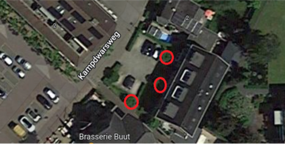 3 Moerbei bomen Doorn