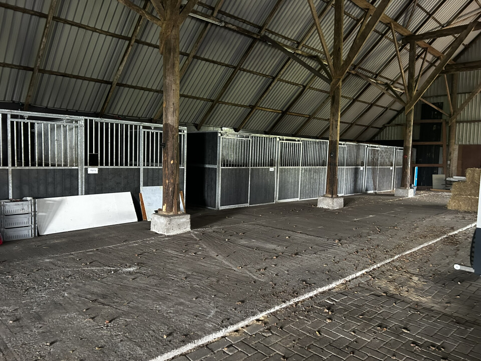 10 stuks nette paardenboxen met kunststof planken