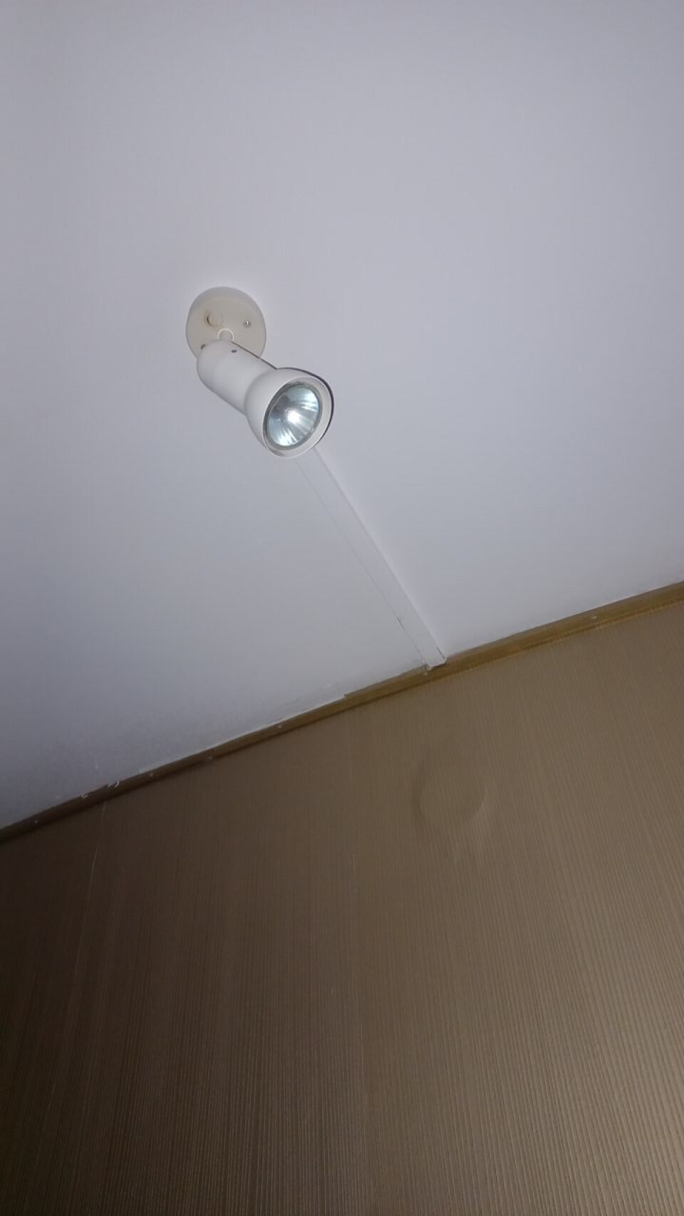 Spotjes plafond