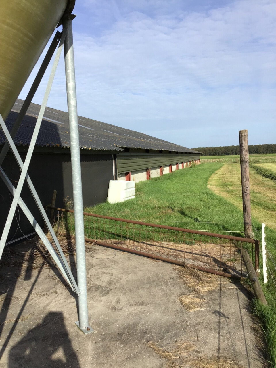 1.640 m² staalconstructie van 82 m1 lang en 20 m1 breed - Foto 4