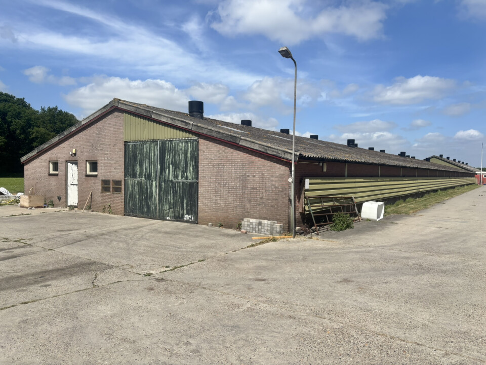 1.188 m² staalconstructie van 72 m1 lang en 16,5 m1 breed
