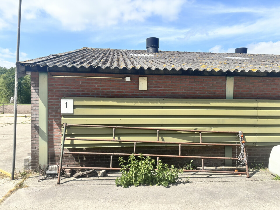 1.188 m² staalconstructie van 72 m1 lang en 16,5 m1 breed - Foto 3