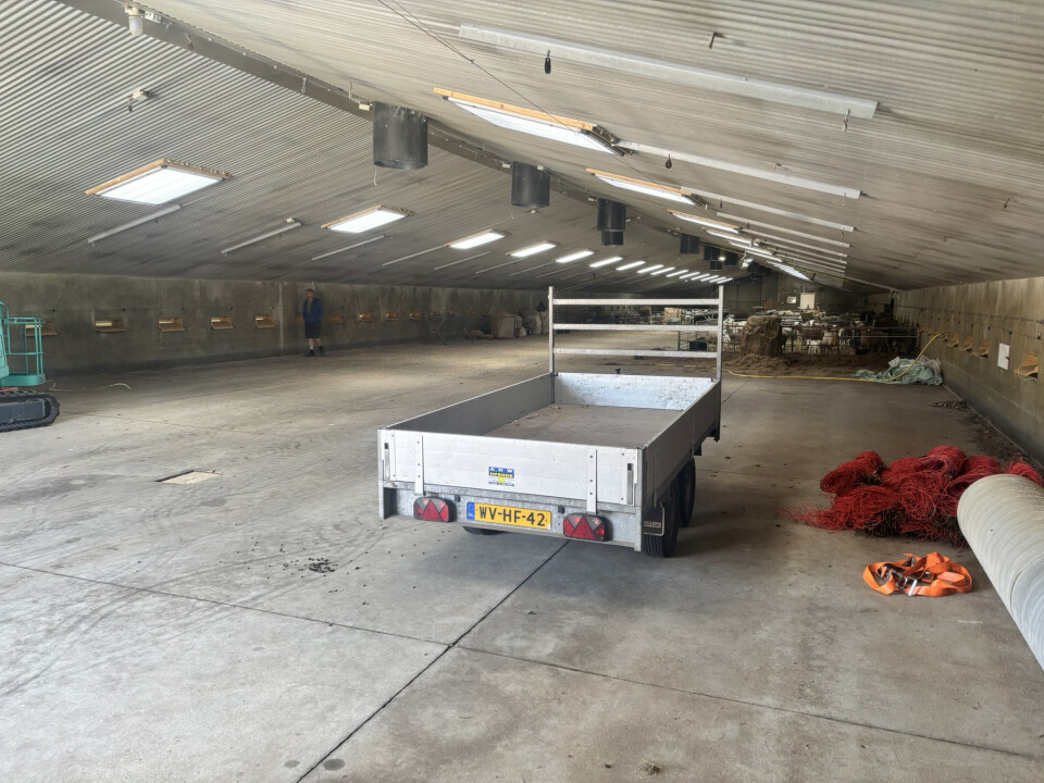 1.188 m² staalconstructie van 72 m1 lang en 16,5 m1 breed - Foto 7