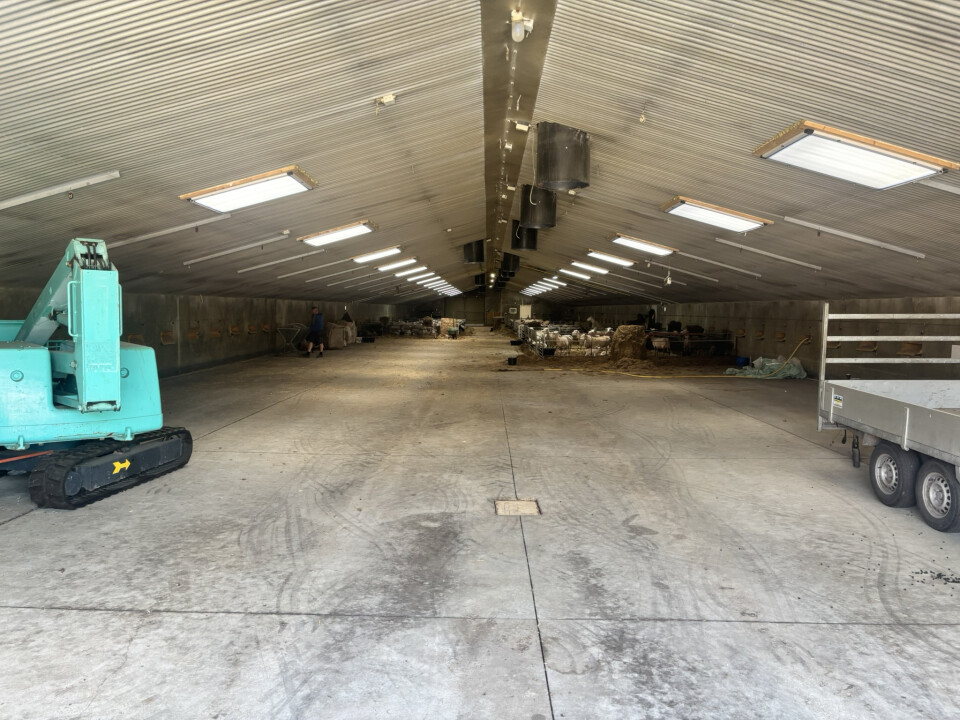1.188 m² staalconstructie van 72 m1 lang en 16,5 m1 breed - Foto 8