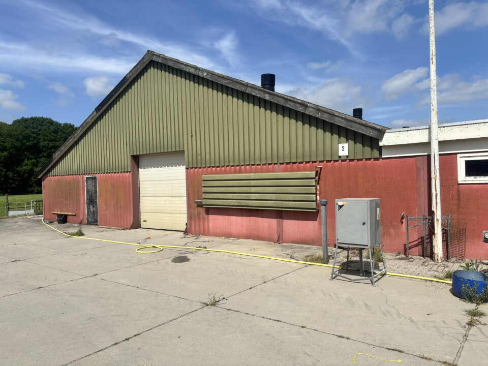 1.476 m² staalconstructie van 82 L x 18 B en 6,3 H in meters - Foto 4
