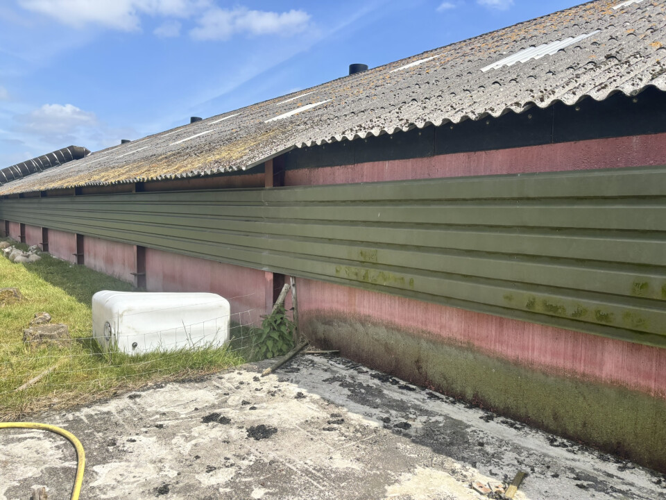 1.476 m² staalconstructie van 82 L x 18 B en 6,3 H in meters - Foto 5