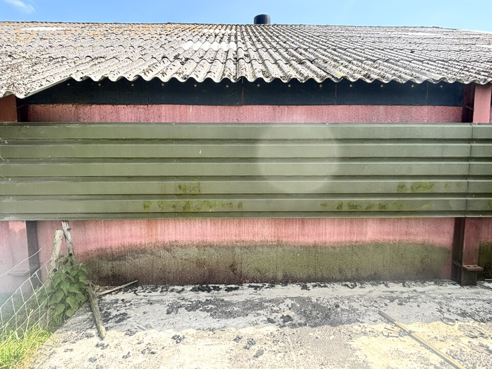 1.476 m² staalconstructie van 82 L x 18 B en 6,3 H in meters - Foto 6