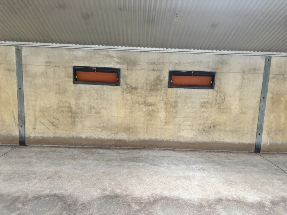1.476 m² staalconstructie van 82 L x 18 B en 6,3 H in meters - Foto 8