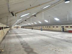 1.476 m² staalconstructie van 82 L x 18 B en 6,3 H in meters - Foto 10