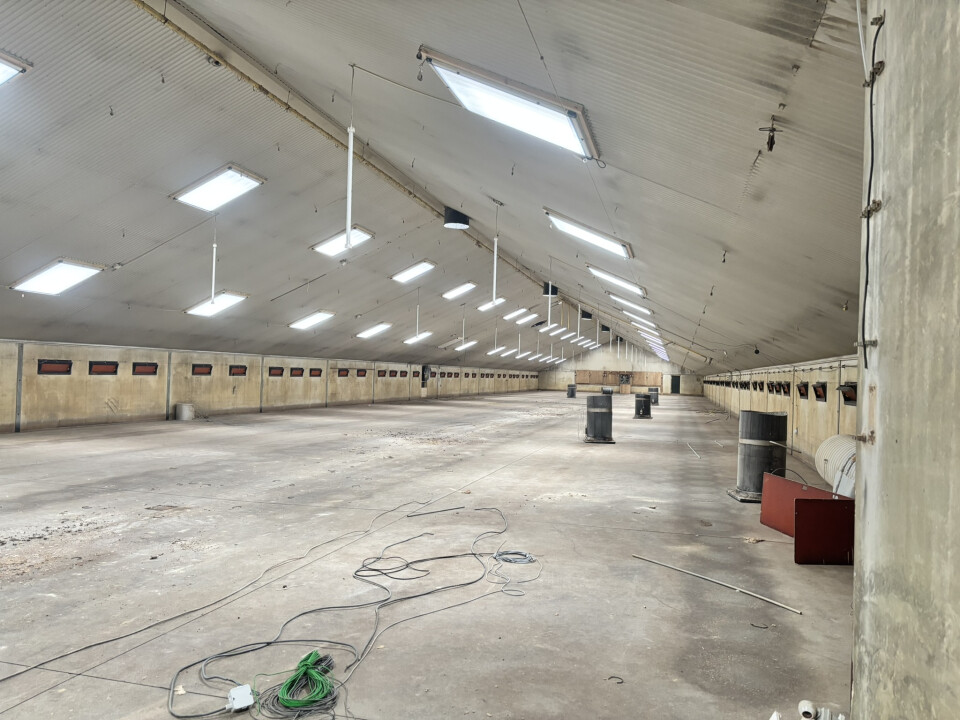 1.476 m² staalconstructie van 82 L x 18 B en 6,3 H in meters - Foto 11