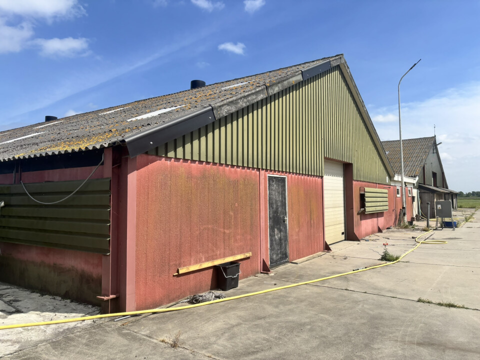 1.476 m² staalconstructie van 82 L x 18 B en 6,3 H in meters - Foto 17