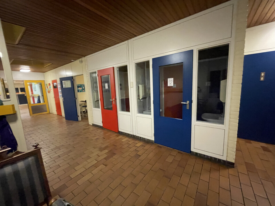 Binnendeuren div kleuren - Foto 2