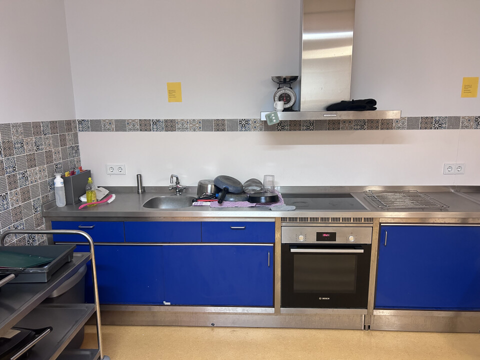 Volledige keuken (RVS) - Foto 8