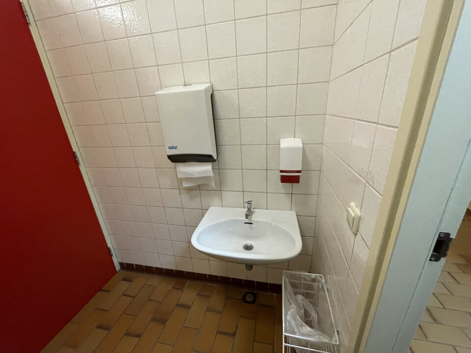 Diverse gootstenen - Foto 3