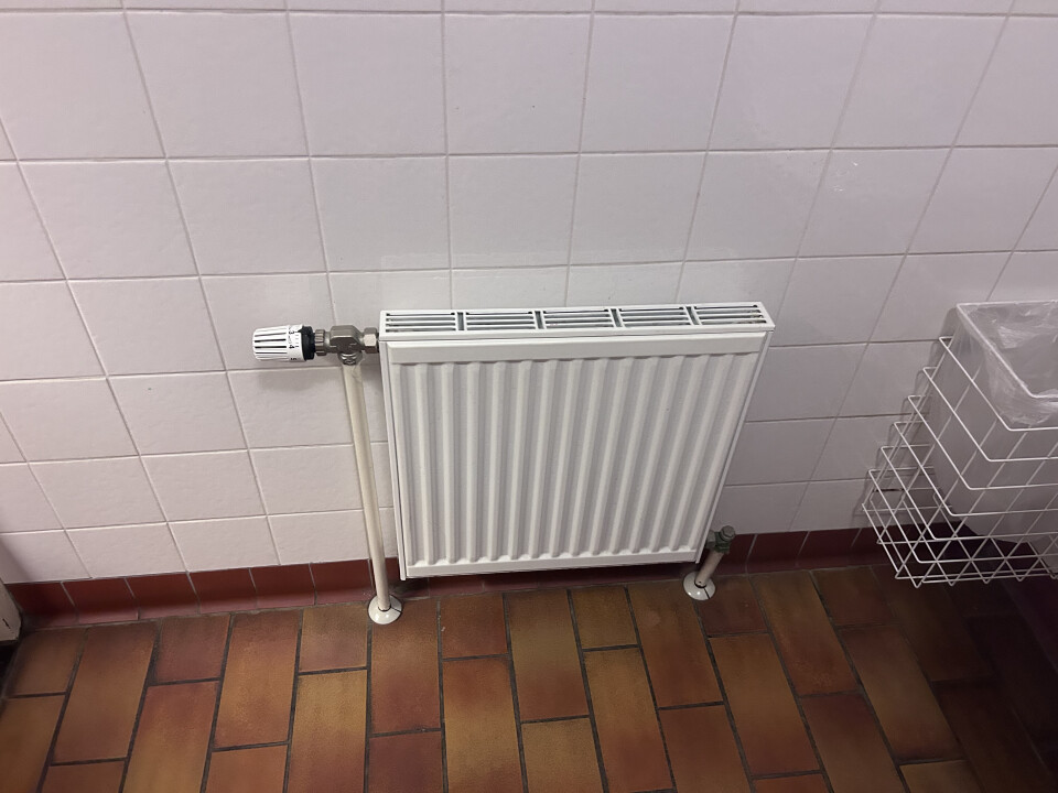 Diverse radiatoren - Foto 1