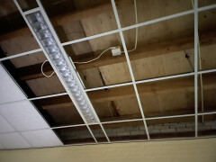 Houten balken voor plafond/ dak - Foto 1