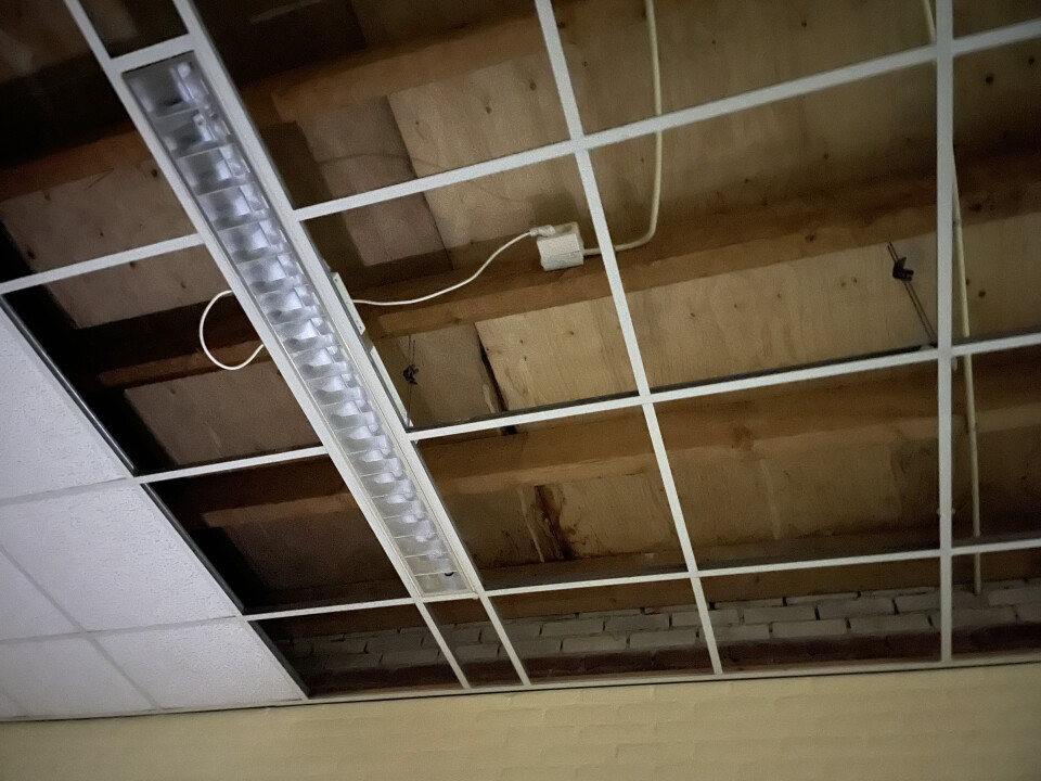 Houten balken voor plafond/ dak - Foto 1