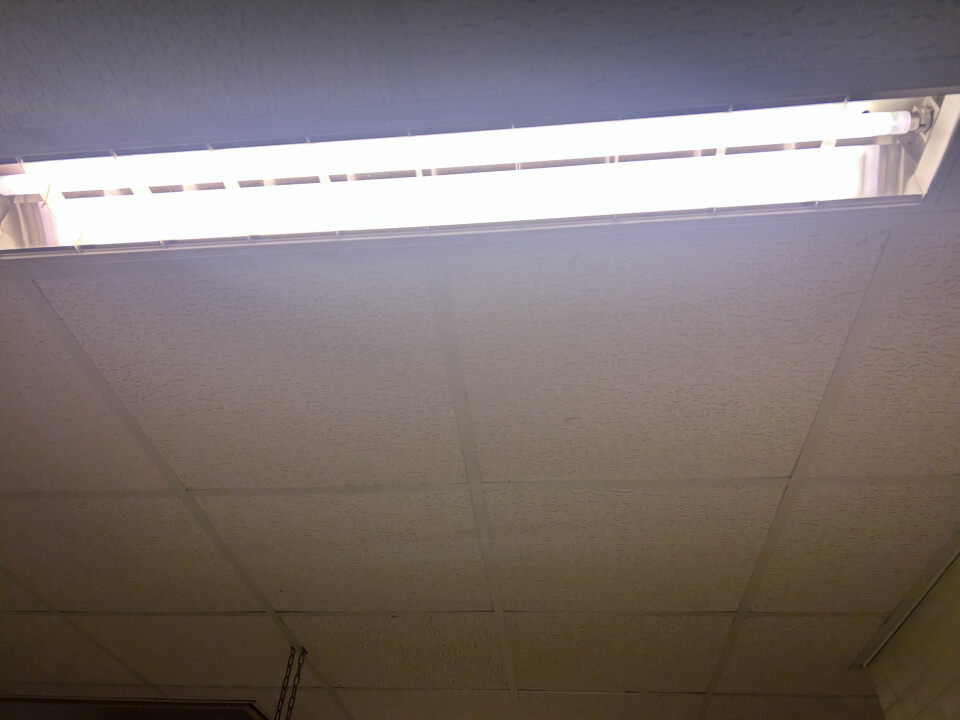 Diverse TL- lampen met roosters - Foto 1