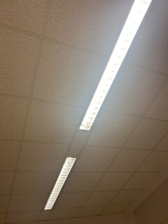 Diverse TL- lampen met roosters - Foto 2