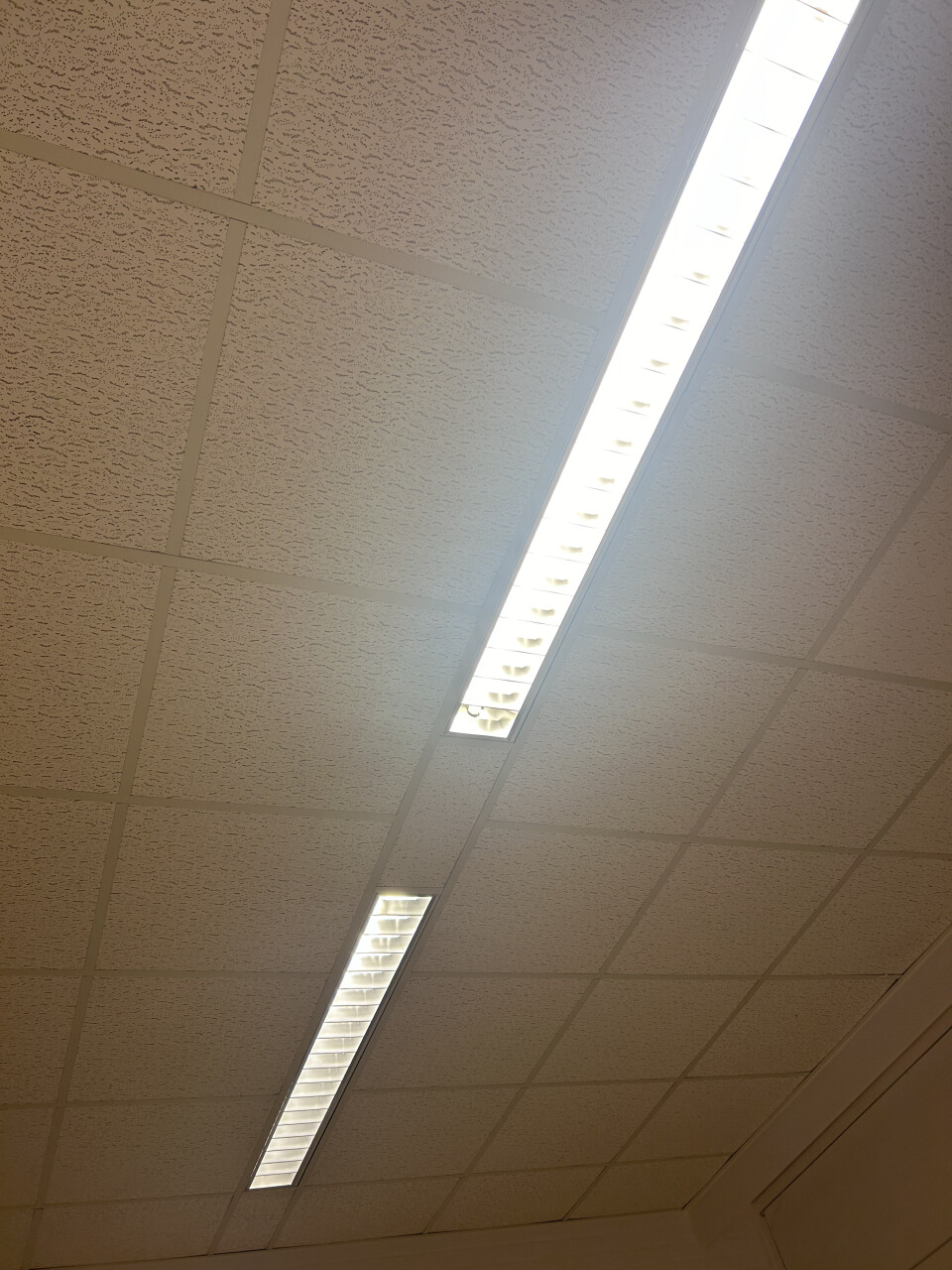 Diverse TL- lampen met roosters - Foto 2