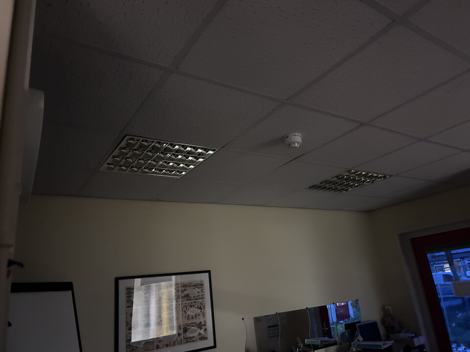 Diverse TL- lampen met roosters - Foto 4
