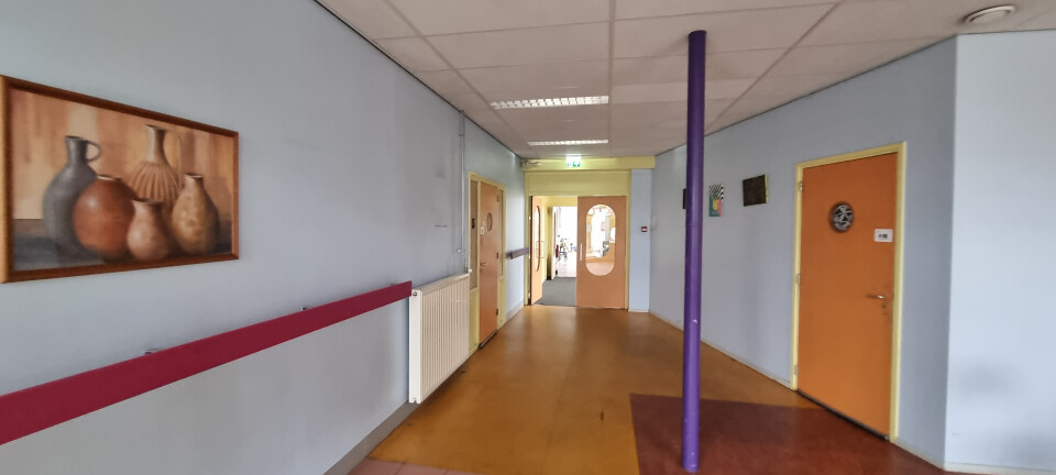 Dubbele binnendeuren - Foto 1