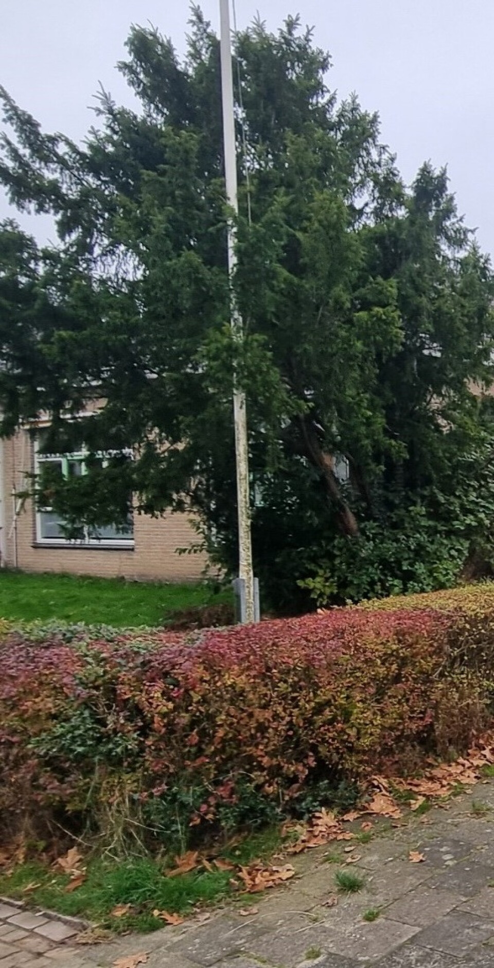 Vlaggenmast - Foto 1