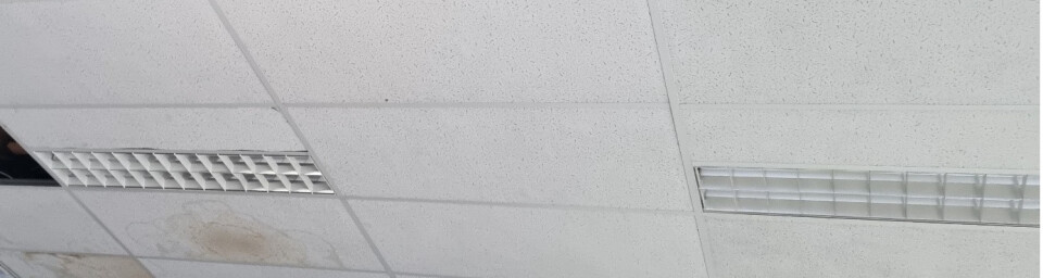 Panelen voor plafond - Foto 1