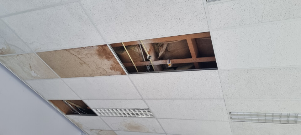 Panelen voor plafond - Foto 3