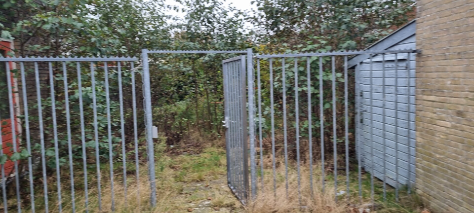 Spijlen hekwerk + poort - Foto 1