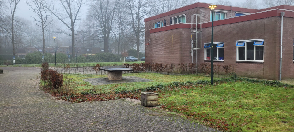 Buitenladder met beveiliging - Foto 1