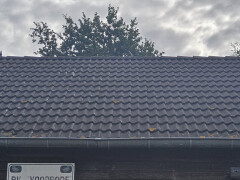 Dakpannen beton - Foto 1