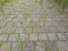 Tegels 300x300 - Foto 1