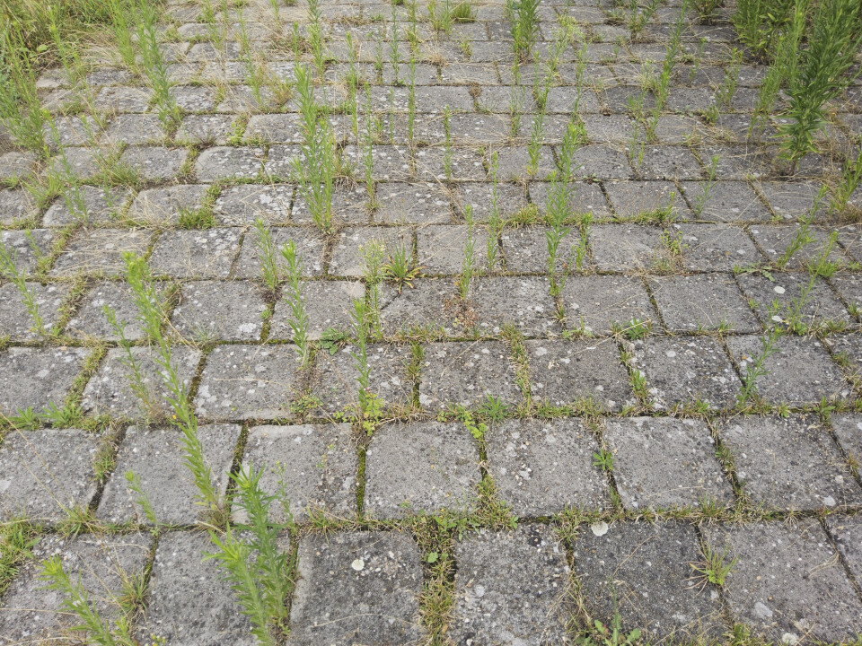 Tegels 300x300