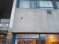 Uitgewassen betonpaneel - Foto 2