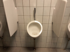 Urinoir - Foto 1