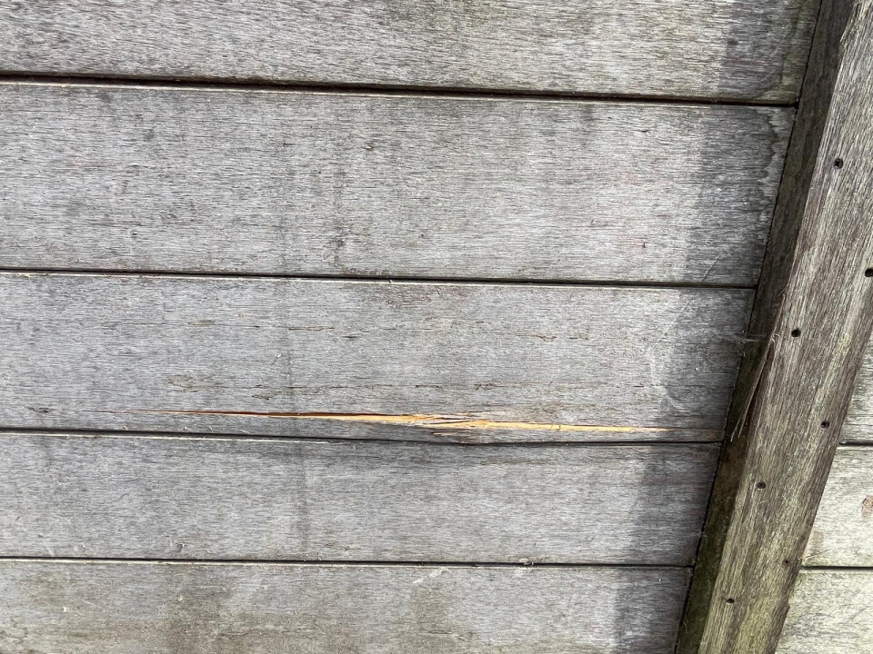 Houten staldeuren - Foto 9