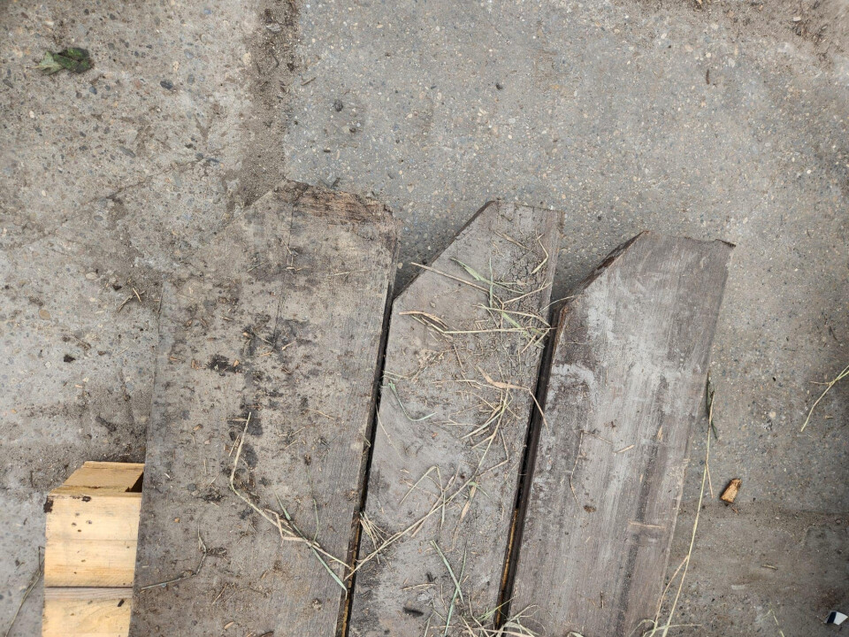 Beschoeiingsplanken hardhout - Foto 5