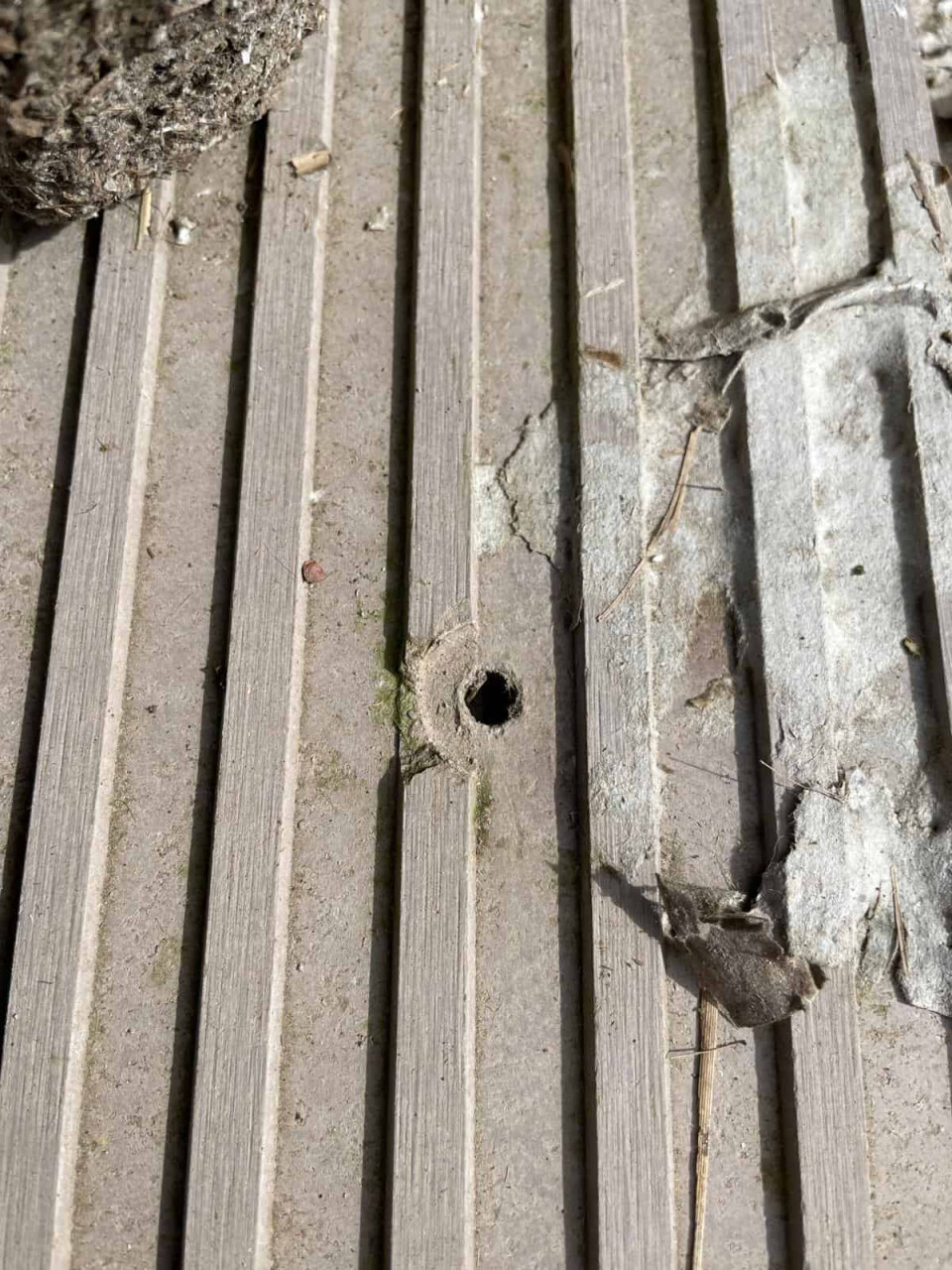 Gevelbekleding - Foto 17