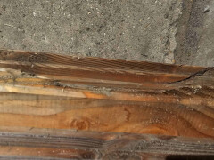Dakbeschot Douglas - Foto 6