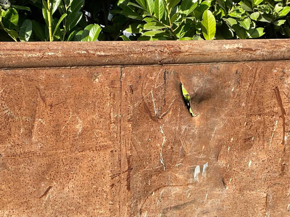 Haakbakken - Foto 8