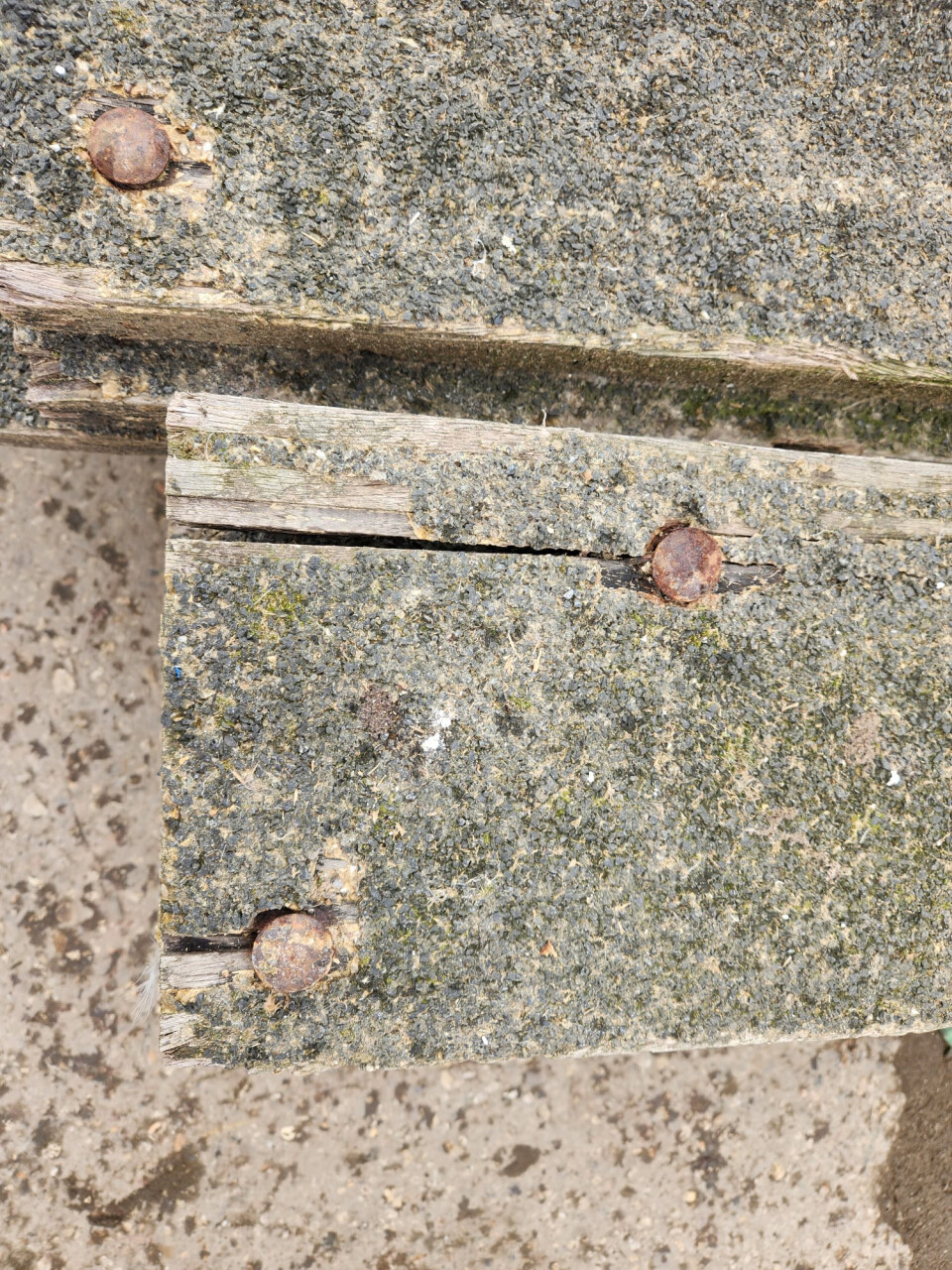 Hardhouten planken met anti-slip of groef - Foto 2