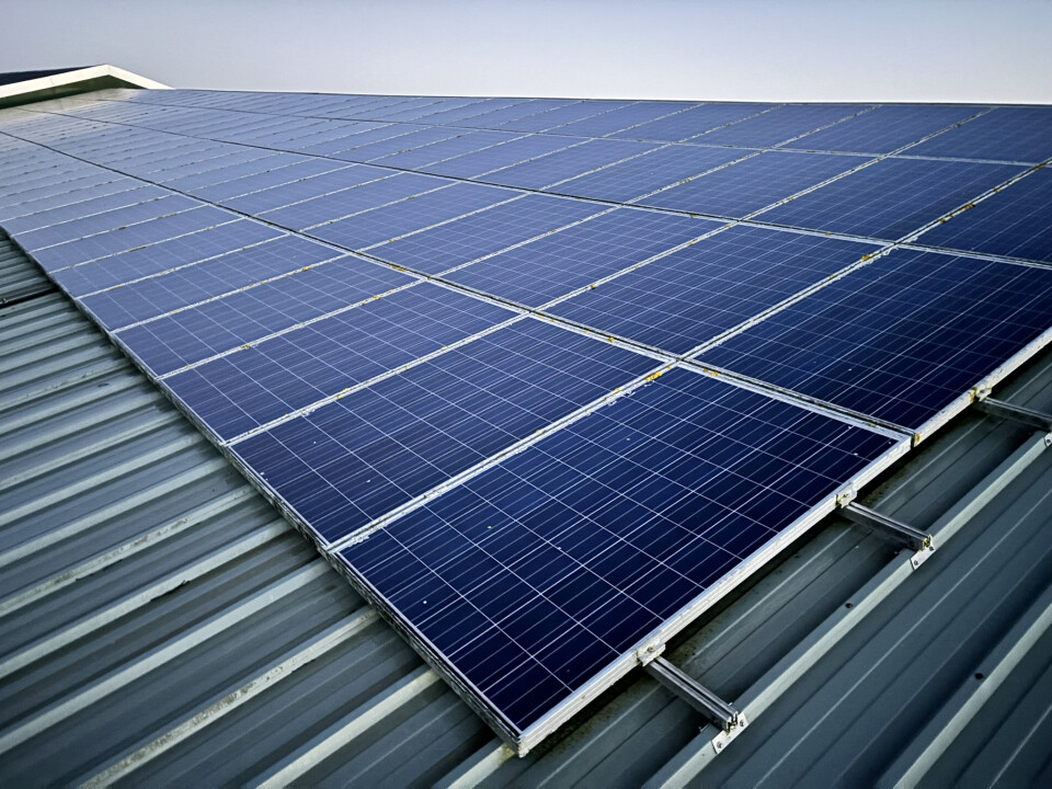 132 stuks (export) zonnepanelen | Yingli Solar YL230PT-29B - Foto 1