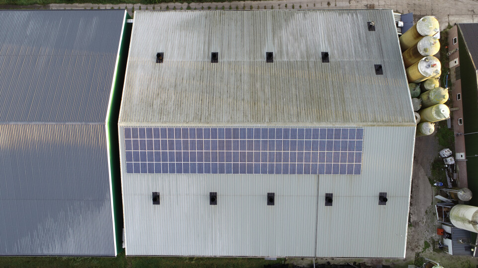132 stuks (export) zonnepanelen | Yingli Solar YL230PT-29B - Foto 4