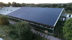 Stalen staalconstructie – agrarische loods ca. 40x37,5 meter - Foto 1