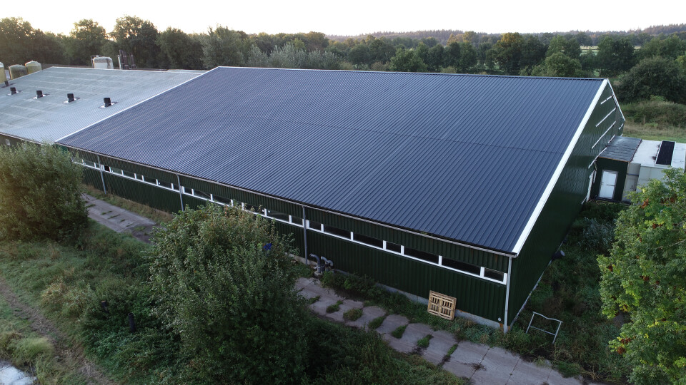Stalen staalconstructie – agrarische loods ca. 40x37,5 meter - Foto 1