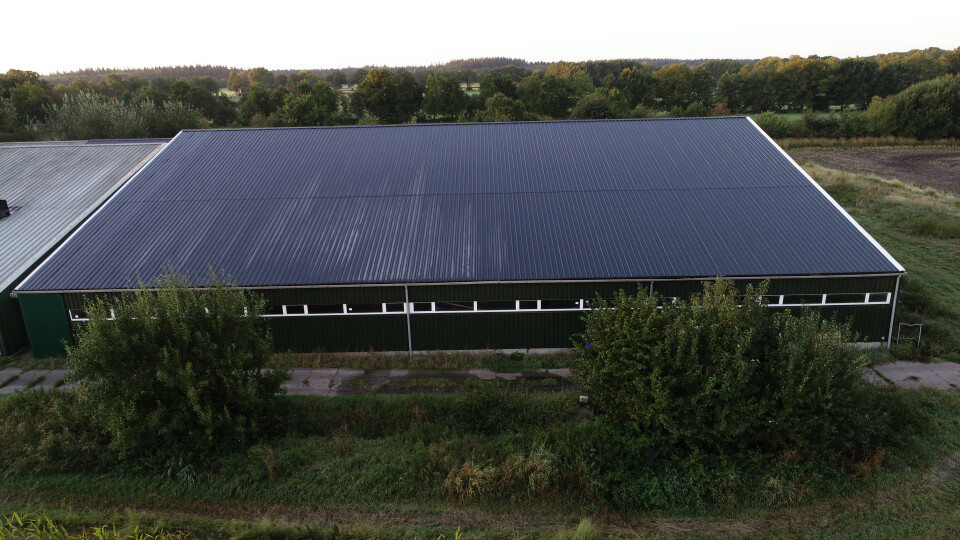 Stalen staalconstructie – agrarische loods ca. 40x37,5 meter - Foto 2