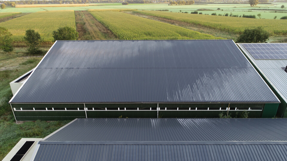Stalen staalconstructie – agrarische loods ca. 40x37,5 meter - Foto 3