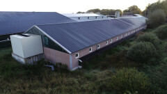 Ca. 920 m² staalconstructie incl. sandwich dakpanelen en prefab wanden - Foto 1