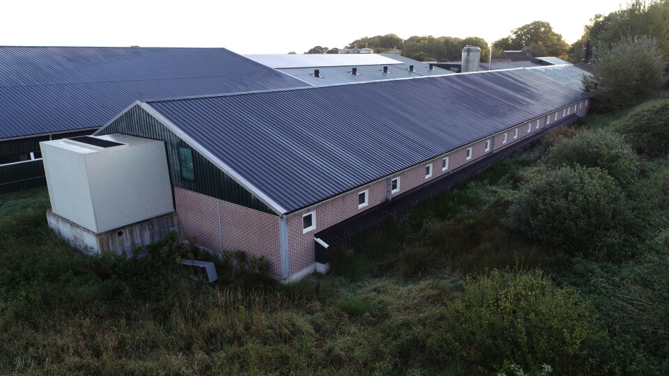 Ca. 920 m² staalconstructie incl. sandwich dakpanelen en prefab wanden - Foto 1